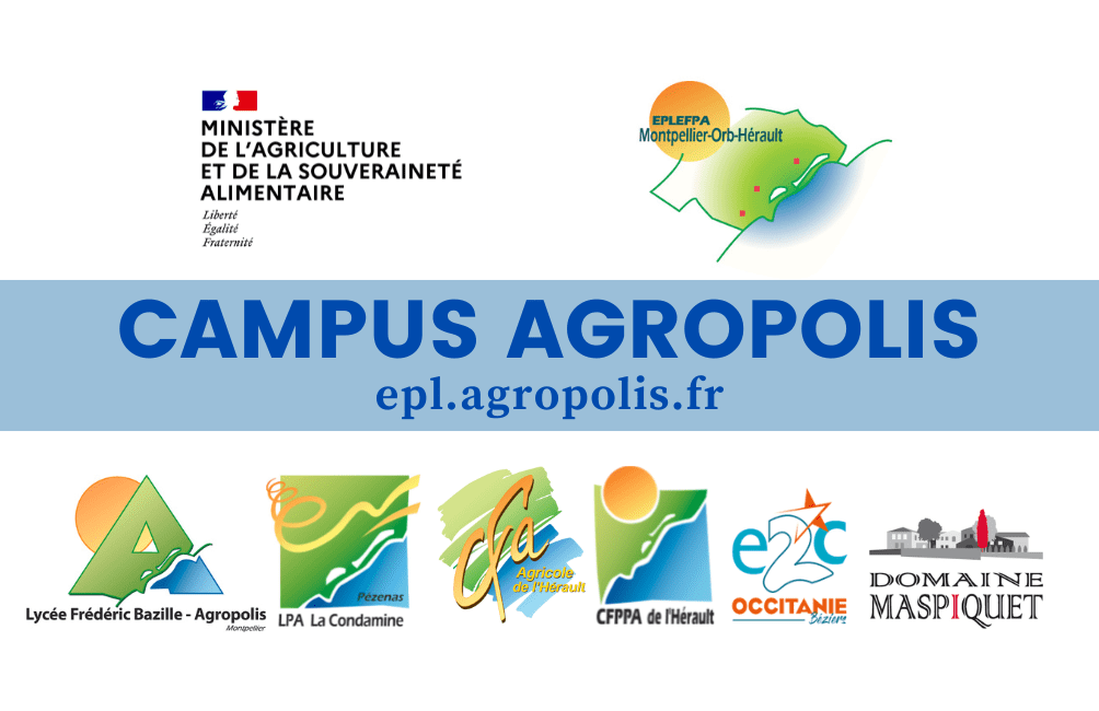 logo ecole 